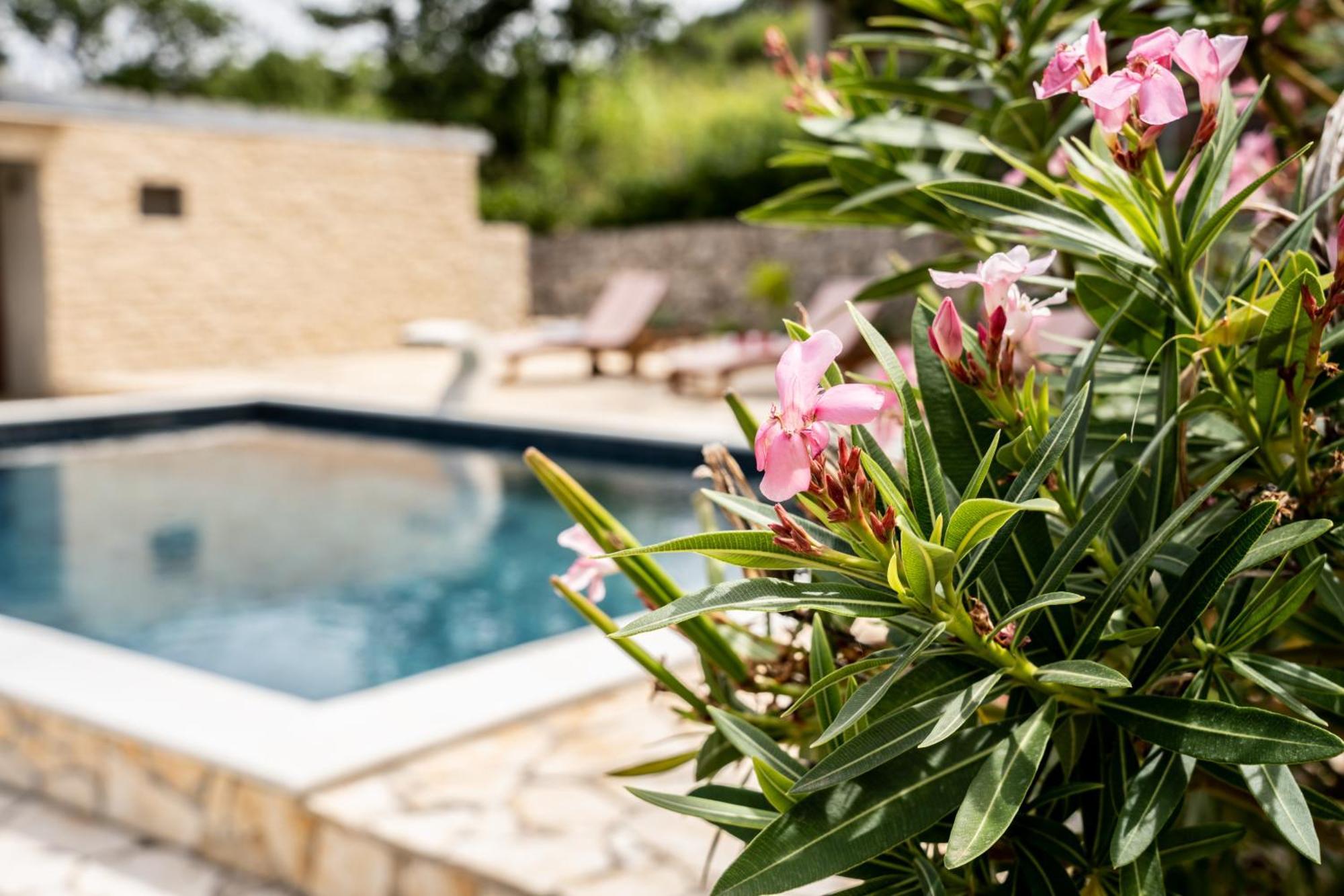 Villa Pag Dubrava Relax With Pool Bosana Exteriör bild